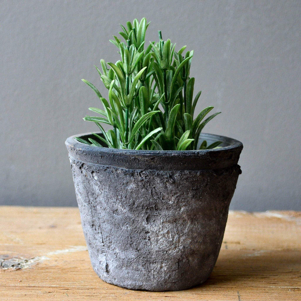 Terracotta Pot - Aged Grey - Liv's