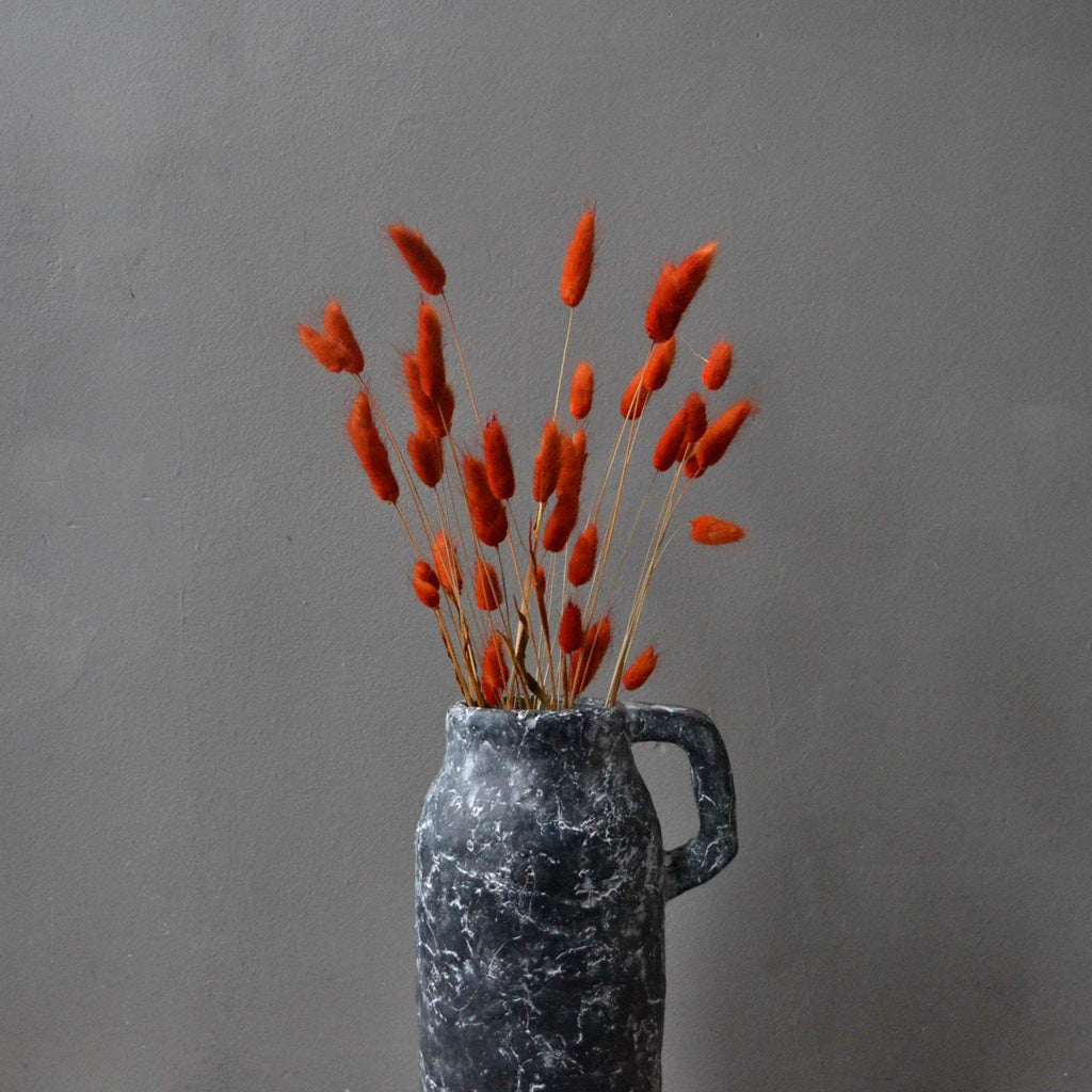 Dried Flowers  - Lagurus Bunny Tails, Orange - Liv's