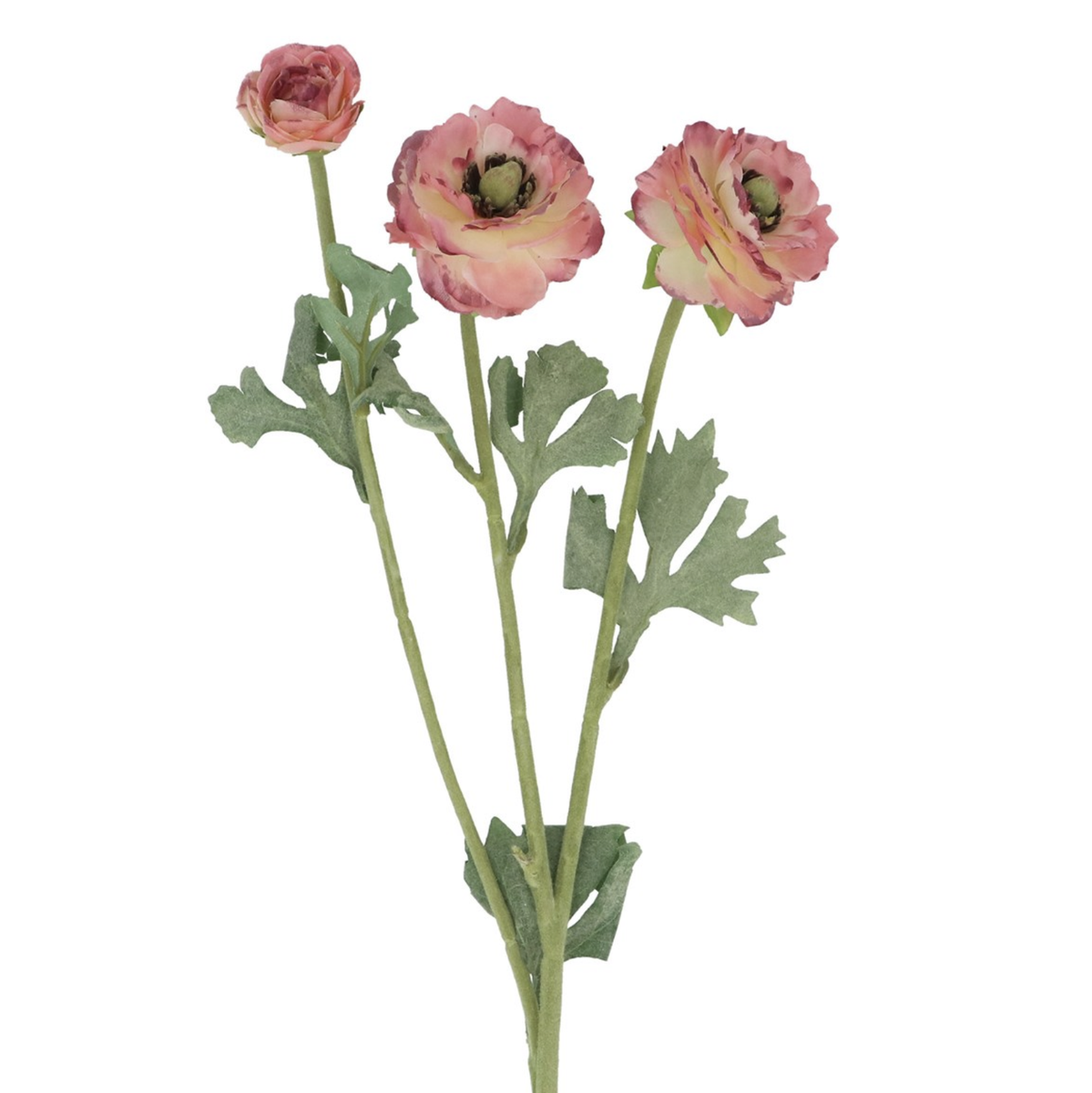 Ranunculus Stem - Pink 48cm - - Liv's Solihull