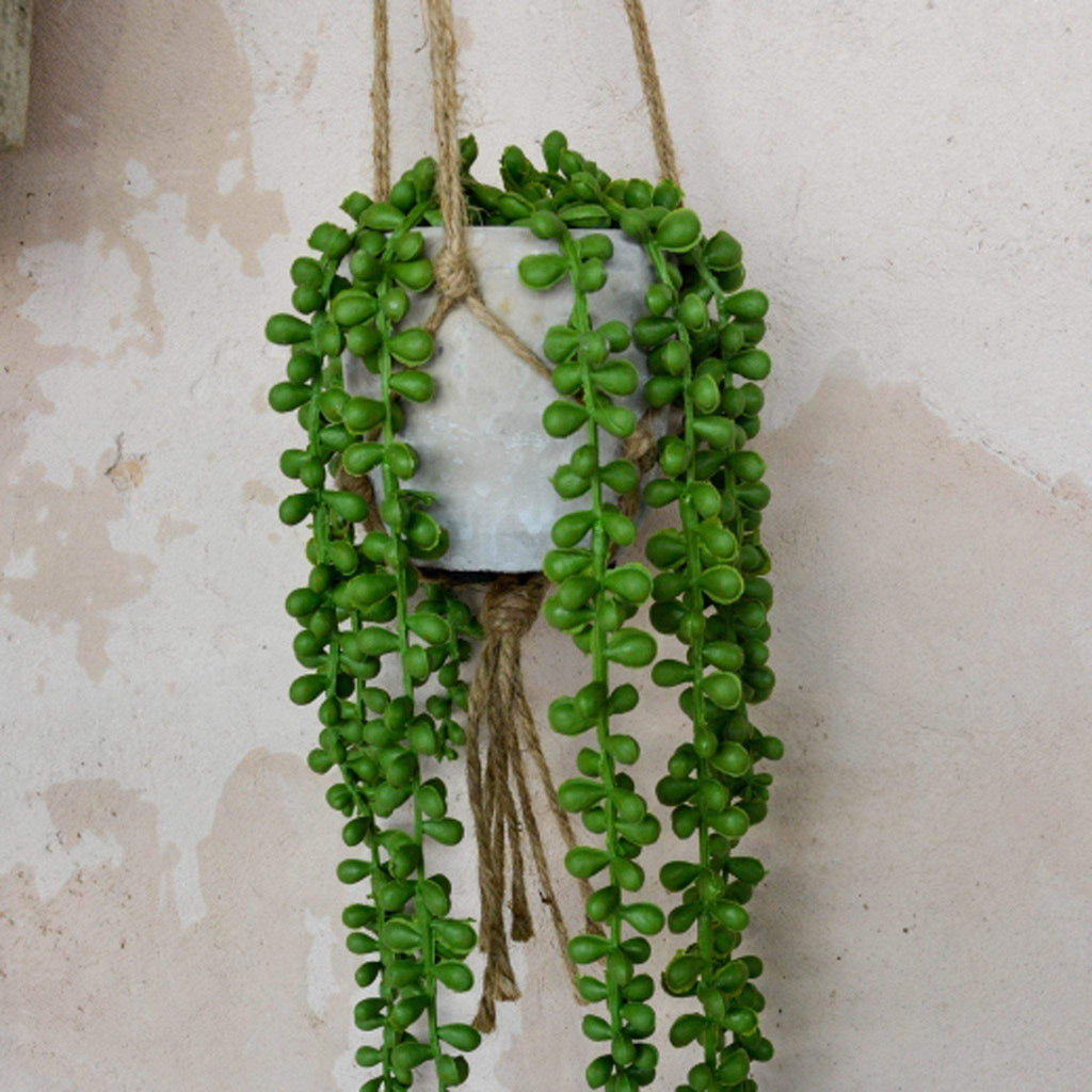 Mini Hanging Concrete Pot with String of Pearls - Liv's