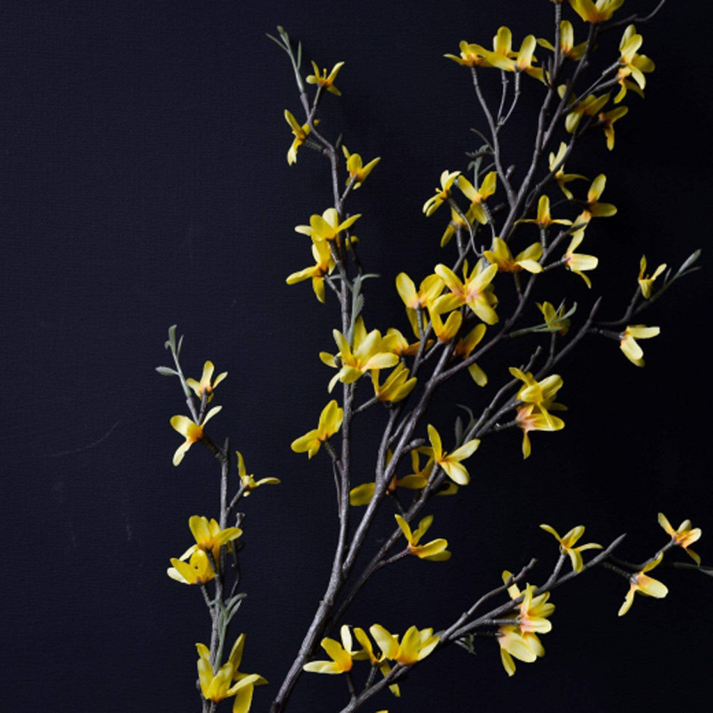 Yellow Forsythia Branch - Liv's