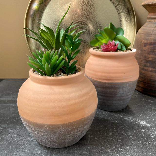 Faux Plant - Succulent in Terracotta Pot, 2 Assorted - Liv's
