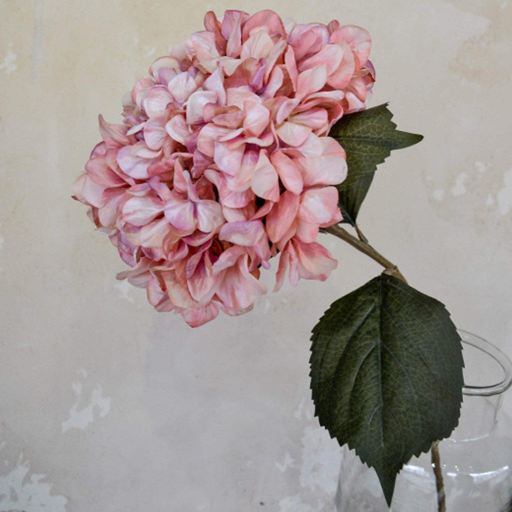 Giant Hydrangea Stem - Antique Pink - Liv's