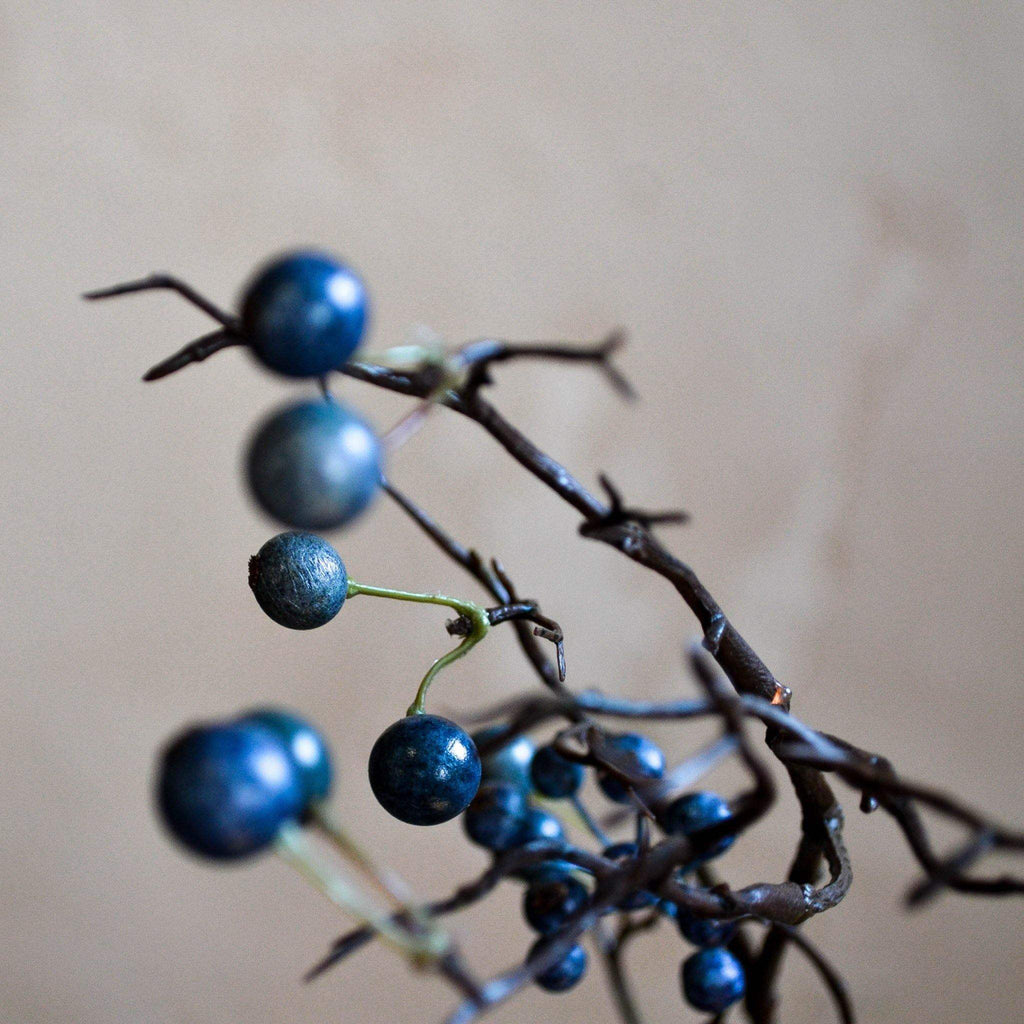 Branch of Blue Berries - Liv's