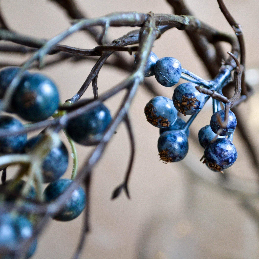Branch of Blue Berries - Liv's