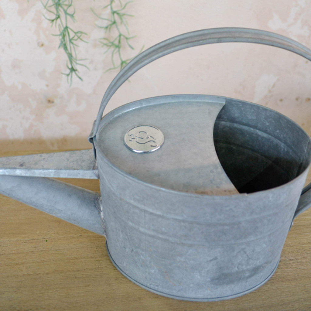 Galvanised Tin Watering Can with Long Spout - Liv's