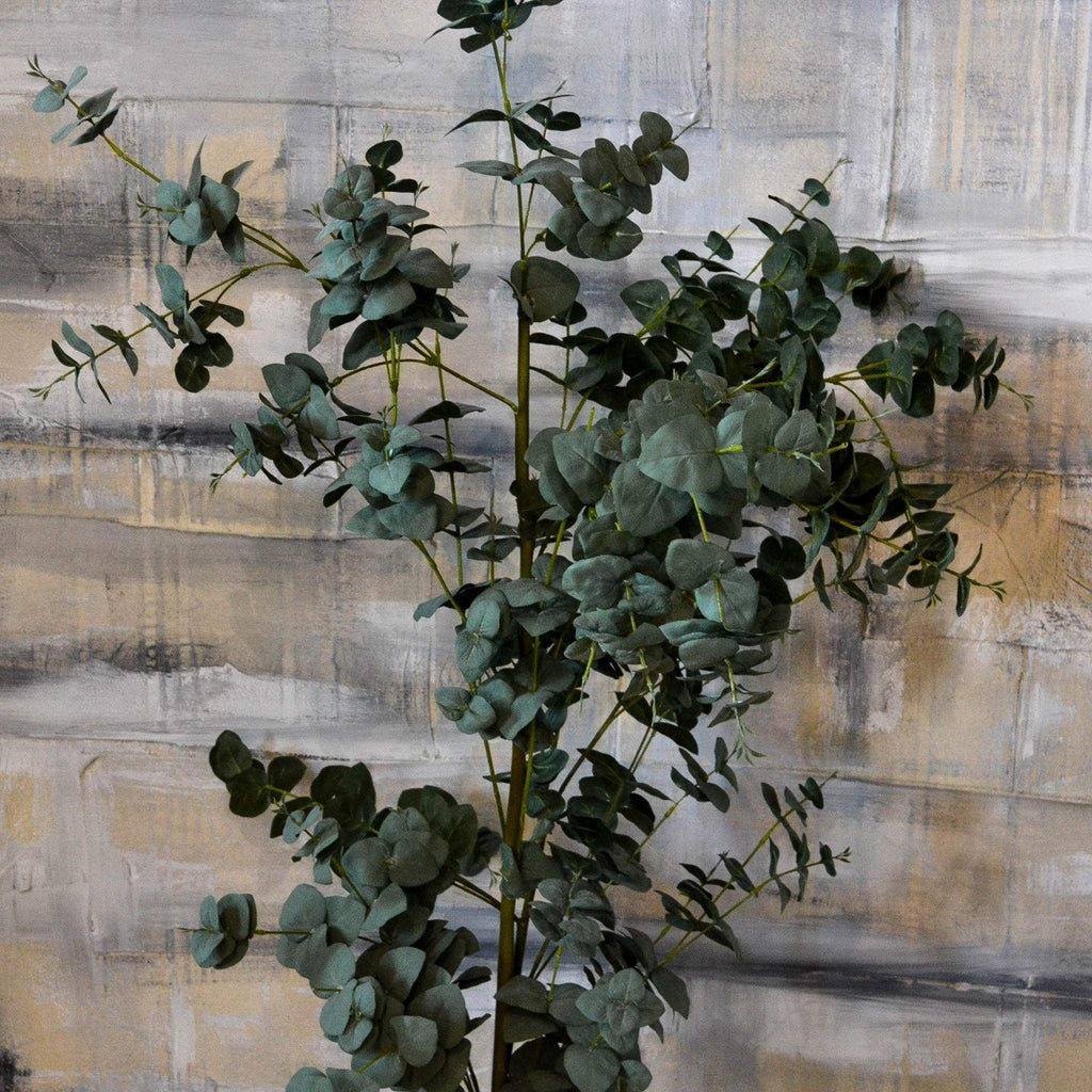Potted Eucalyptus Tree - Liv's