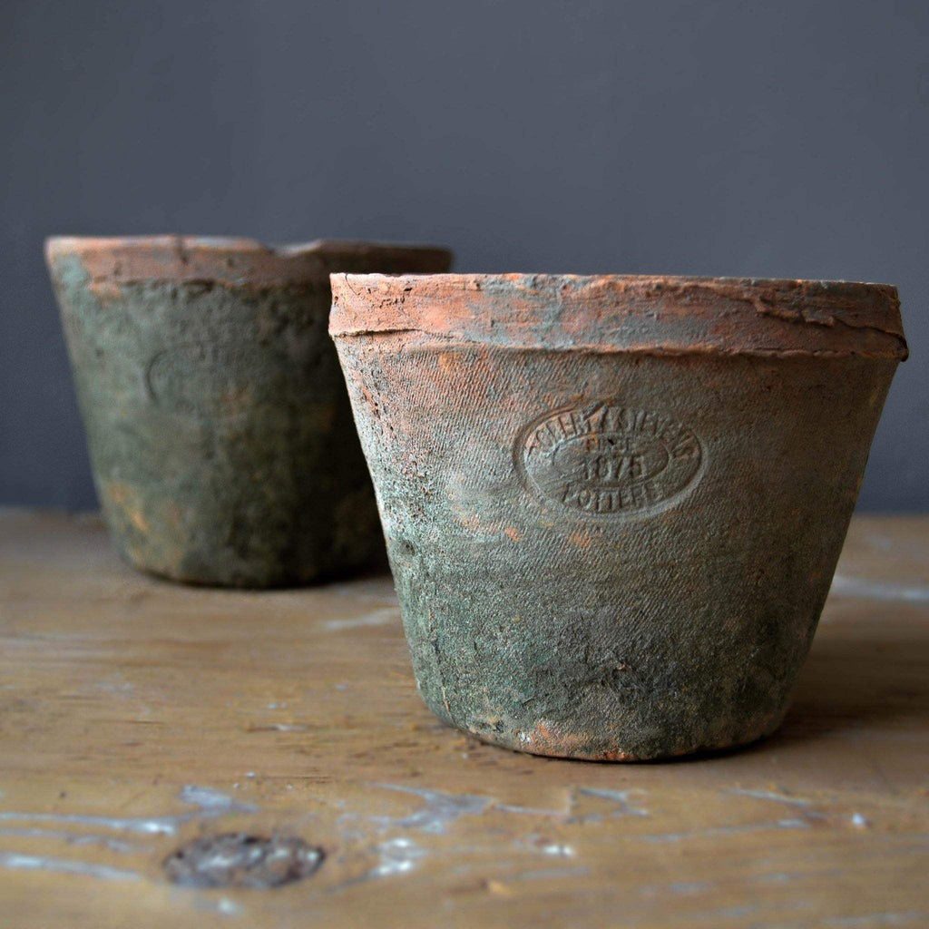 Terracotta Pot - Aged Natural - Liv's
